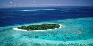 Guide to Diving in Great Barrier Reef – A True Wonder