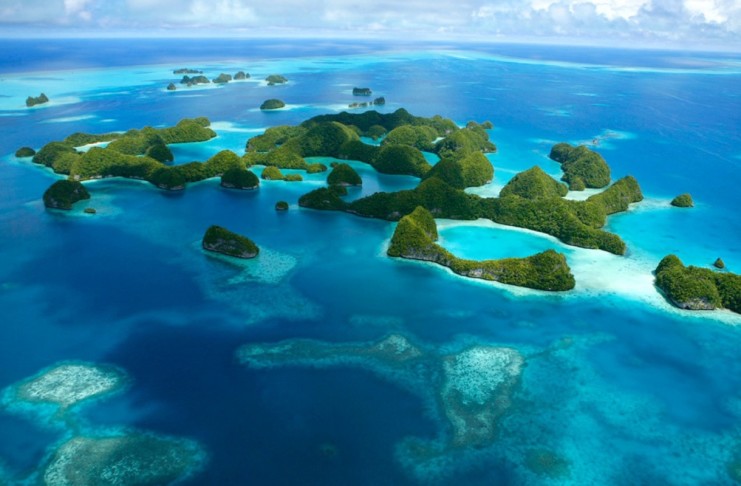 Guide to Diving in Palau – A Diver’s Destiny