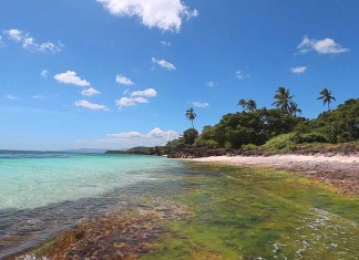 Guide to Diving in Bohol – A Diving Heaven