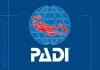 Guide to Dive Operators in Bali
