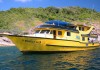 Guide to Dive Operators in Phuket