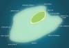 Guide to Top 10 Dive Sites in Pulau Sipadan