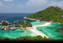 Guide to Diving in Koh Tao – Thai Turtle Island