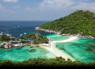 Guide to Diving in Koh Tao – Thai Turtle Island